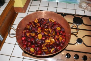 Confiture de prunes noires ... du jardin siouplait !